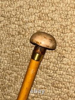 Antique Petite Show / Dress Cane Carved Mushroom Top & Gold Collar By Brigg