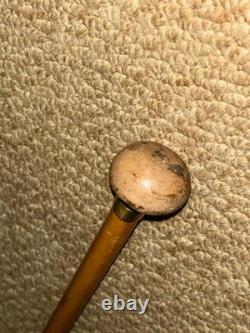 Antique Petite Show / Dress Cane Carved Mushroom Top & Gold Collar By Brigg