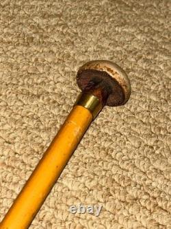 Antique Petite Show / Dress Cane Carved Mushroom Top & Gold Collar By Brigg