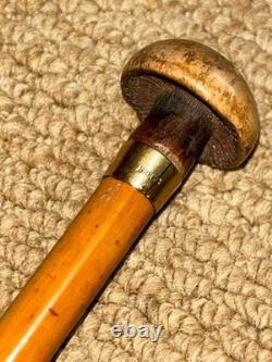Antique Petite Show / Dress Cane Carved Mushroom Top & Gold Collar By Brigg