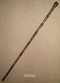Antique Qing Dynasty Walking Stick Cane Chinese Oriental Entirely Carved Insects