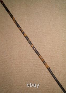 Antique Qing Dynasty Walking Stick Cane Chinese Oriental Entirely Carved Insects