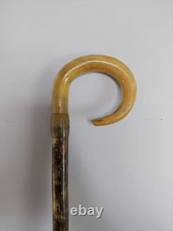 Antique Rams Horn Shepherds Crook Walking Stick Carved Handle 97cm (38.5)