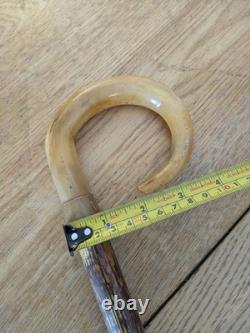 Antique Rams Horn Shepherds Crook Walking Stick Carved Handle 97cm (38.5)