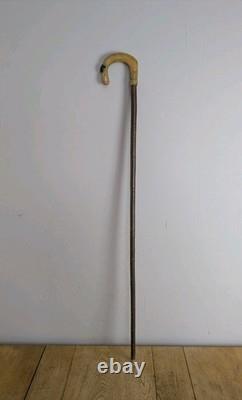 Antique Rams Horn Shepherds Crook Walking Stick Sheep Carved Handle 100cm (40)