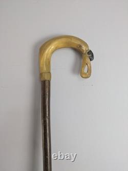 Antique Rams Horn Shepherds Crook Walking Stick Sheep Carved Handle 100cm (40)
