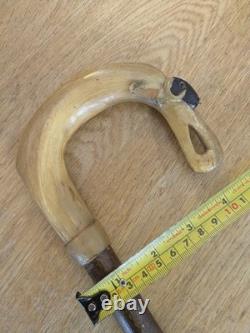 Antique Rams Horn Shepherds Crook Walking Stick Sheep Carved Handle 100cm (40)