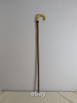 Antique Rams Horn Shepherds Crook Walking Stick Thistle Carved Handle 106cm