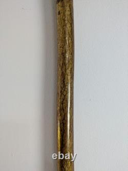 Antique Rams Horn Shepherds Crook Walking Stick Thistle Carved Handle 106cm