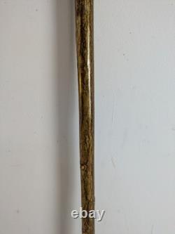 Antique Rams Horn Shepherds Crook Walking Stick Thistle Carved Handle 106cm