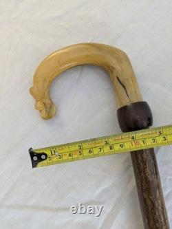 Antique Rams Horn Shepherds Crook Walking Stick Thistle Carved Handle 106cm