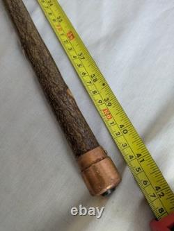 Antique Rams Horn Shepherds Crook Walking Stick Thistle Carved Handle 106cm