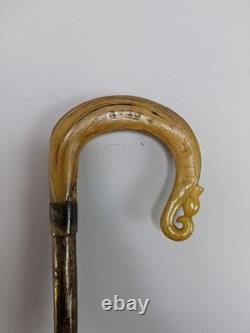 Antique Rams Horn Shepherds Crook Walking Stick Thistle Carved Handle 94cm (37)