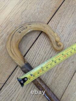 Antique Rams Horn Shepherds Crook Walking Stick Thistle Carved Handle 94cm (37)