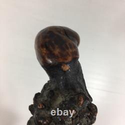 Antique Rootwood Root Wood Walking Stick With Stylised Carved Face Pommel