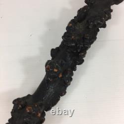 Antique Rootwood Root Wood Walking Stick With Stylised Carved Face Pommel