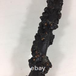 Antique Rootwood Root Wood Walking Stick With Stylised Carved Face Pommel