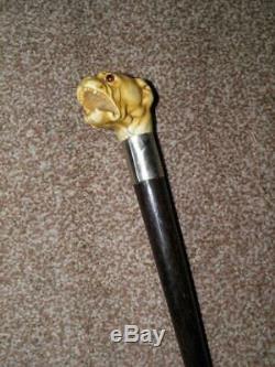 Antique Rosewood Walking Stick/Cane With A Carved Snarling Dogs Head Top