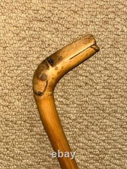 Antique Rustic Bamboo Walking Stick Hand Carved Dog Handle