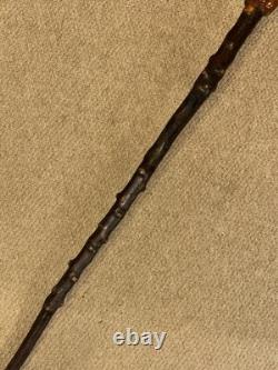 Antique Rustic Birch Walking Stick Cane Hand-Carved Glass Eyed Ram Sheep Head