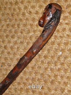 Antique Rustic Blackthorn Bark Hand-Carved Monkey Top Walking Stick/Cane