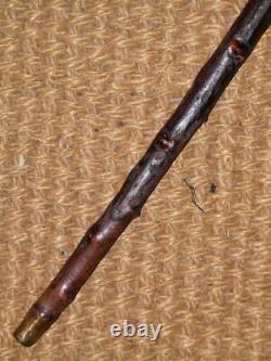 Antique Rustic Blackthorn Bark Hand-Carved Monkey Top Walking Stick/Cane