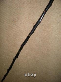 Antique Rustic Blackthorn Hand-Carved Mans Head Top Walking Stick/Cane 87cm