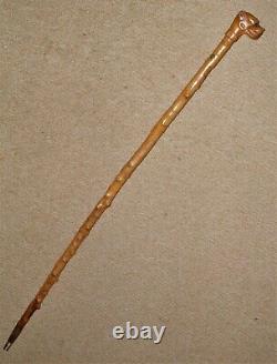 Antique Rustic Bramble Walking Cane/Stick With Hand Carved Great Dane Top