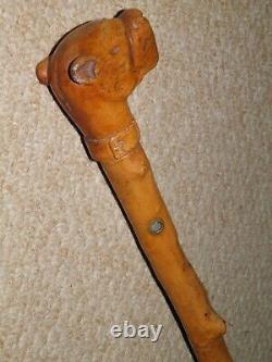 Antique Rustic Bramble Walking Cane/Stick With Hand Carved Great Dane Top