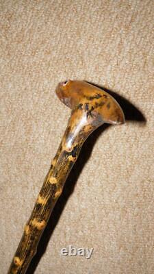 Antique Rustic Fruitwood Walking Stick Hand-Carved Lizard Head Glass Eyes