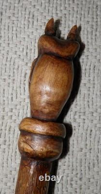 Antique Rustic Hand Carved Lincoln Imp Walking Stick / Cane Vine Twisted Shaft Antique Rustic Hand Carved Lincoln Imp Walking Stick / Cane Vine Twisted Shaft