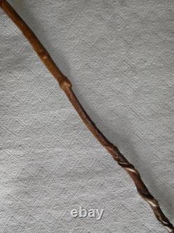Antique Rustic Hand Carved Lincoln Imp Walking Stick / Cane Vine Twisted Shaft Antique Rustic Hand Carved Lincoln Imp Walking Stick / Cane Vine Twisted Shaft