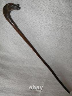 Antique Rustic Hazel Walking Stick Cane Grotesque Hand-Carved Animal Glass Eyes Antique Rustic Hazel Walking Stick Cane Grotesque Hand-Carved Animal Glass Eyes