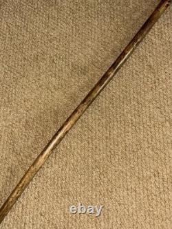 Antique Rustic Oak Walking Stick Cane Hand-Carved Oak Tree Branch & Acorns