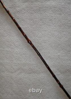 Antique Rustic Stick Cane Grotesque Hand Carved Head Depicting Matthew Parker