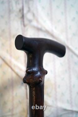 Antique Rustic Thornwood Walking Stick Carved'Old Gibbeting Field' c. 1900