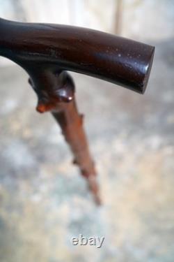 Antique Rustic Thornwood Walking Stick Carved'Old Gibbeting Field' c. 1900