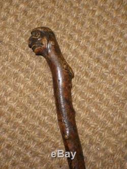 Antique Rustic Thorny Walking Stick/Cane With Hand Carved Grotesque Face Top