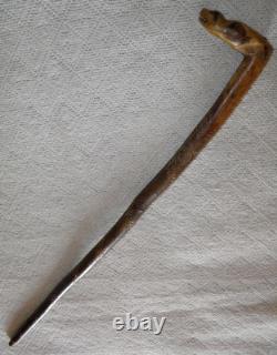 Antique Rustic Walking Stick / Cane Entirely Hand-Carved Animal Head Glass Eyes