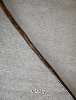 Antique Rustic Walking Stick / Cane Entirely Hand-Carved Animal Head Glass Eyes