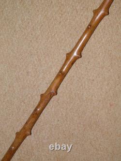 Antique Rustic Walking Stick / Cane Hand- Carved Animal Top & Silver Collar