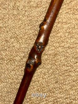 Antique Rustic Walking Stick / Cane Hand-Carved Grotesque Head & Faces Shaft