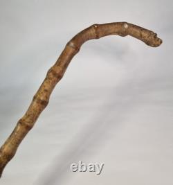 Antique Semi-Flexible Whangee Bamboo Cane Walking Stick Hand Carved Dog Handle