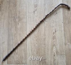 Antique Semi-Flexible Whangee Bamboo Cane Walking Stick Hand Carved Dog Handle