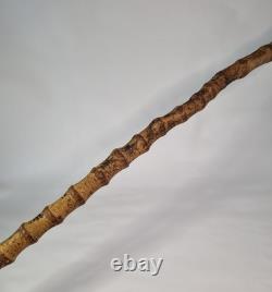 Antique Semi-Flexible Whangee Bamboo Cane Walking Stick Hand Carved Dog Handle Antique Semi-Flexible Whangee Bamboo Cane Walking Stick Hand Carved Dog Handle