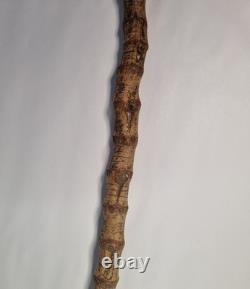 Antique Semi-Flexible Whangee Bamboo Cane Walking Stick Hand Carved Dog Handle