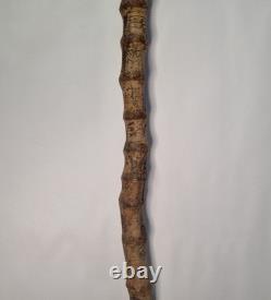 Antique Semi-Flexible Whangee Bamboo Cane Walking Stick Hand Carved Dog Handle