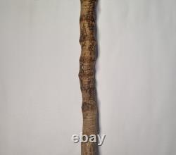Antique Semi-Flexible Whangee Bamboo Cane Walking Stick Hand Carved Dog Handle