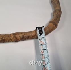 Antique Semi-Flexible Whangee Bamboo Cane Walking Stick Hand Carved Dog Handle