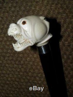 Antique Silver Ebony Walking Stick/Cane With A Carved Snarling Dogs Head Top